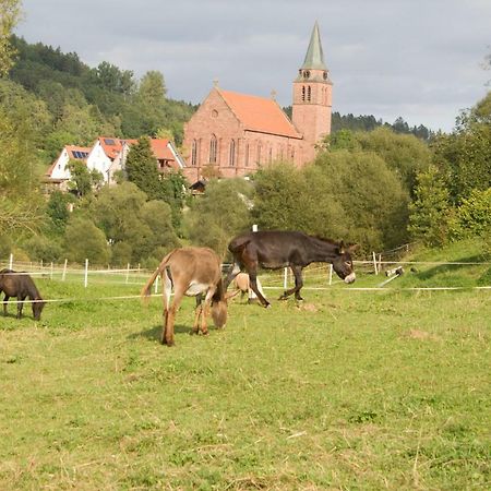 Ferienwohnung Spreter Zimmern ob Rottweil Екстер'єр фото