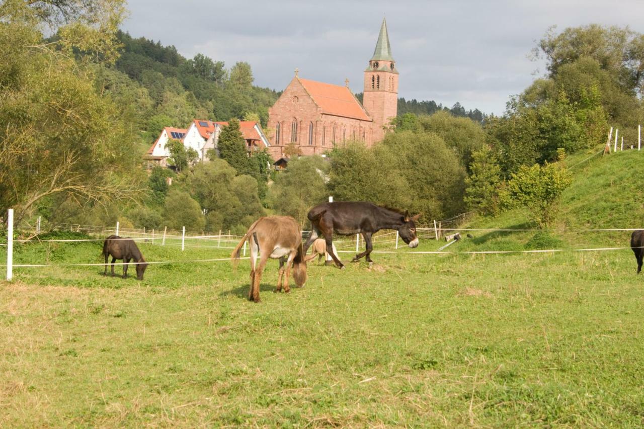Ferienwohnung Spreter Zimmern ob Rottweil Екстер'єр фото